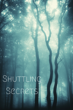 Shuttling Secrets